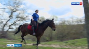 Почтовая лошадь