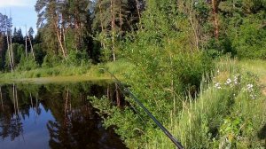 ЛОВЛЯ ОКУНЯ НА СПИННИНГ ЛЕТОМ.Снасть УБИЙЦА ОКУНЯ.