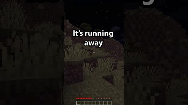 This Minecraft Furry Mod is Insane #shorts #minecraft #funnyvideo смотреть онлайн