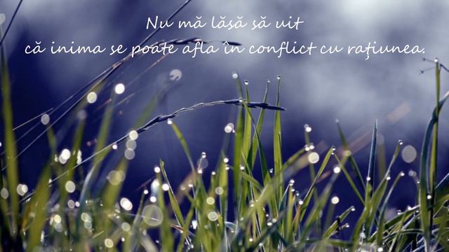 Rugăciunea lui Antoine de Saint-Exupéry~ “Învaţă-mă arta paşilor mici” смотреть онлайн