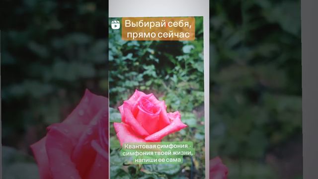 Твоя жизнь про что, о чем?!? 😏А что если начать ее писать самой, любить, творить, создавать🦋🦋🦋 смотреть онлайн