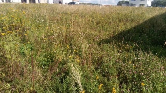 Участок в Петушках смотреть онлайн