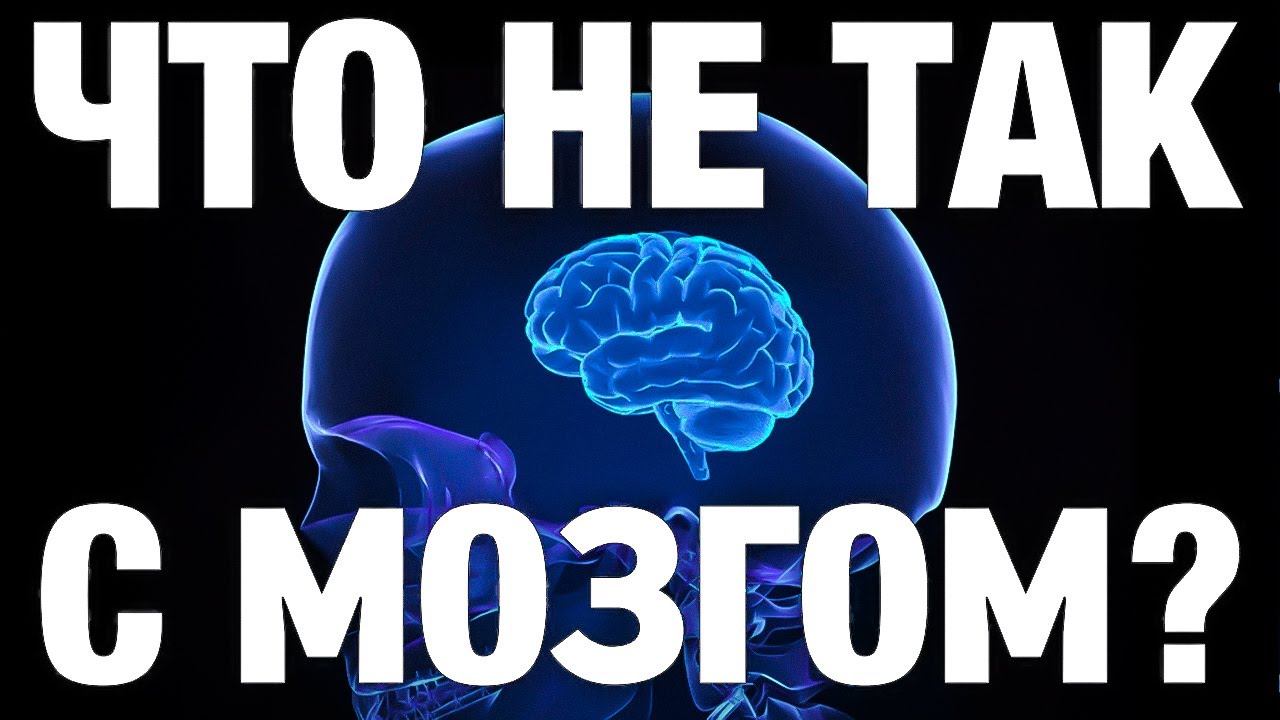 МОЗГ на вынос - ТОП-факты о содержимом черепной коробки смотреть онлайн