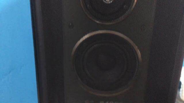 O Rei do Som - Caixas de Som Sony SS-B4950 смотреть онлайн