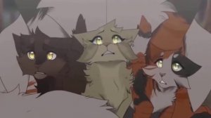 Коты Воители. Мини-Теории. (или же какой-то бред)