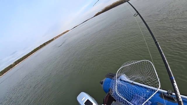 МАГИЯ ТЕЛЕПОРТАЦИИ! ОГРОМНАЯ ЩУКА! рыбалка осенью ловля щуки осенью трофей рибалка рыбалка 2019 смотреть онлайн