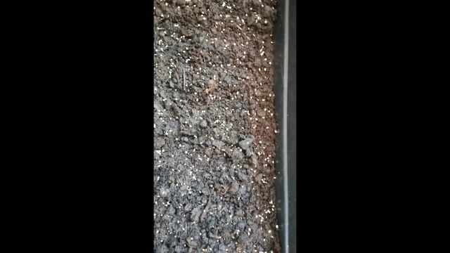 Посев семян томата на рассаду. смотреть онлайн