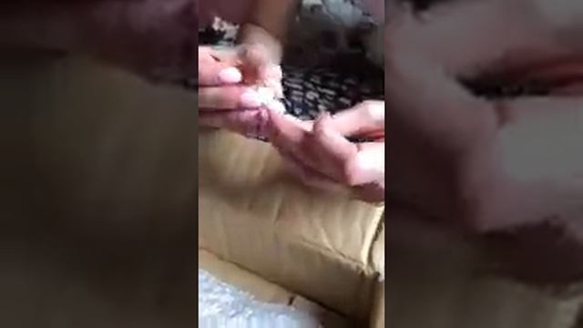 Моя первая кукла бжд с алиэкспресс (2часть ) смотреть онлайн