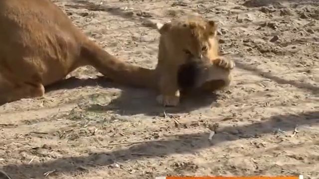 Сюжеты – лидеры просмотра на YouTube смотреть онлайн