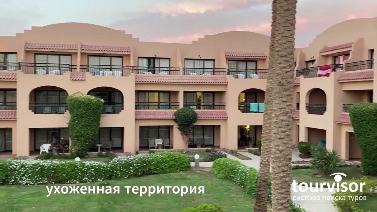 Ali Baba Palace смотреть онлайн