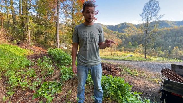 The Old School Chop And Drop