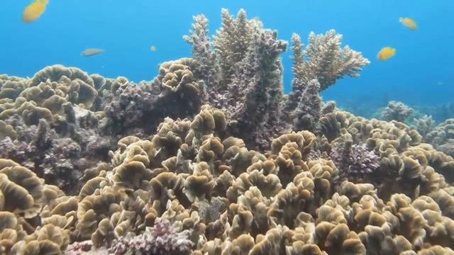 Открытая вода смотреть онлайн