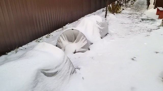 Зимовка роз!Снег! Как это важно! смотреть онлайн