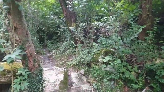 Новый Афон красивый водопад смотреть онлайн