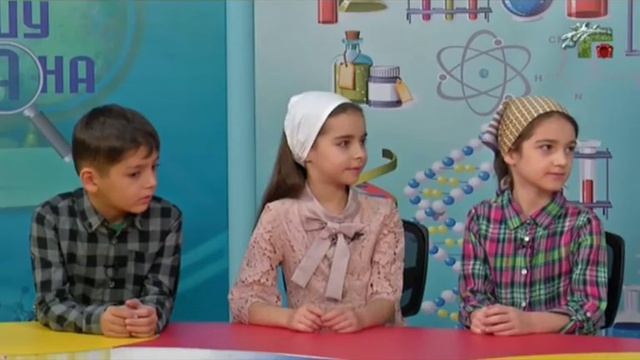 СПРОШУ У СУЛТАНА. НАСЕКОМЫЕ. 24 декабря 18г. смотреть онлайн