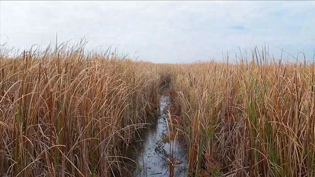 Top 10 Places to Visit in Ontario Canada in 2022 | Best Ontario Day Trips | Discover Ontario смотреть онлайн