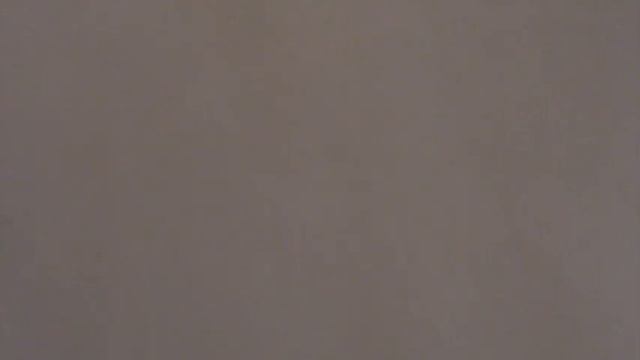 Сергей Есенин «Я по первому снегу бреду» смотреть онлайн