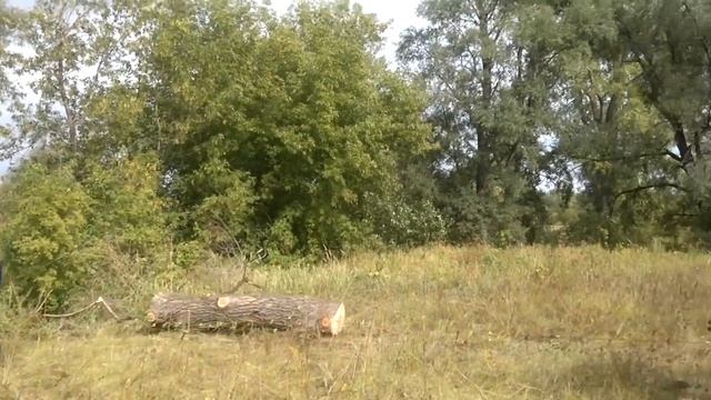 минитрактор ЧТЗ Уралец Т-0,2.03. смотреть онлайн