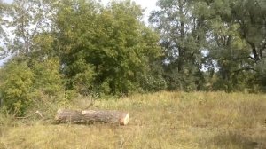 минитрактор ЧТЗ  Уралец Т-0,2.03.