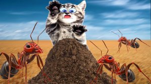 Муравьи ЗАЖИВО СЪЕЛИ КОТЁНКА??!!