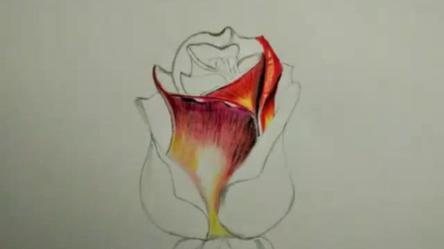 Pencil Sketch Tutorials: How to draw/ Sketch a flower? смотреть онлайн