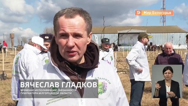 «Сад памяти» из 1300 деревьев в Илёк-Пеньковке смотреть онлайн