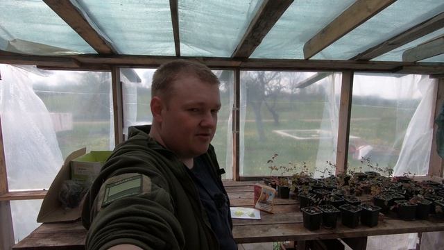 Какая сера нужна для голубики смотреть онлайн