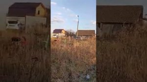 Мотоблок с задним адаптером, хорошая штука.