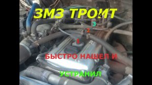 ТРОИТ ДВИГАТЕЛЬ ЗМЗ 405 406 одна из причин