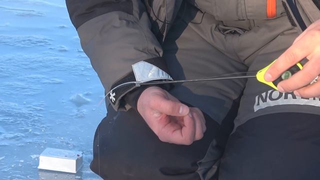 КАК НАЙТИ 100 РЫБ в ЛУНКЕ!!? Рыбалка ЗИМОЙ с Эхолотом DEEPER CHIRP+2 на реке Северский Донец смотреть онлайн