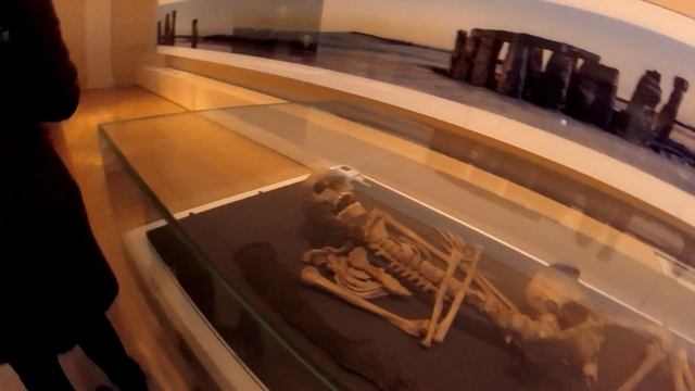 Веганская Кухня: Идеи и Рецепты