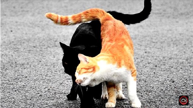 Когда весна стучит в окно смотреть онлайн