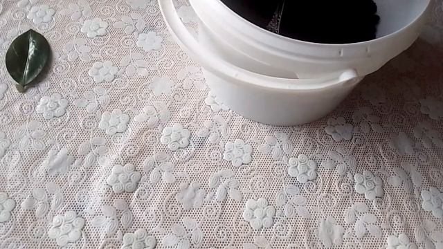 Замиокулькас из листа. ч.2. Прошёл месяц. смотреть онлайн