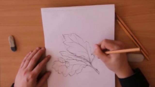 Мастер класс "Ветка дуба" - Романенко Павел Николаевич смотреть онлайн