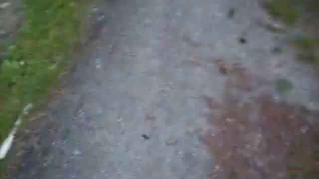 Stevie Going For A Walk смотреть онлайн