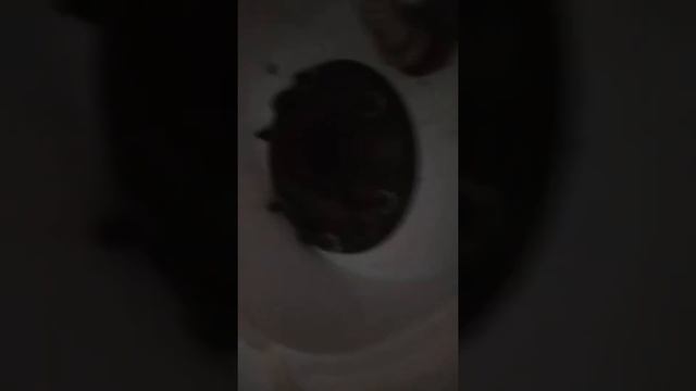 Чистка вертиго атлантик смотреть онлайн