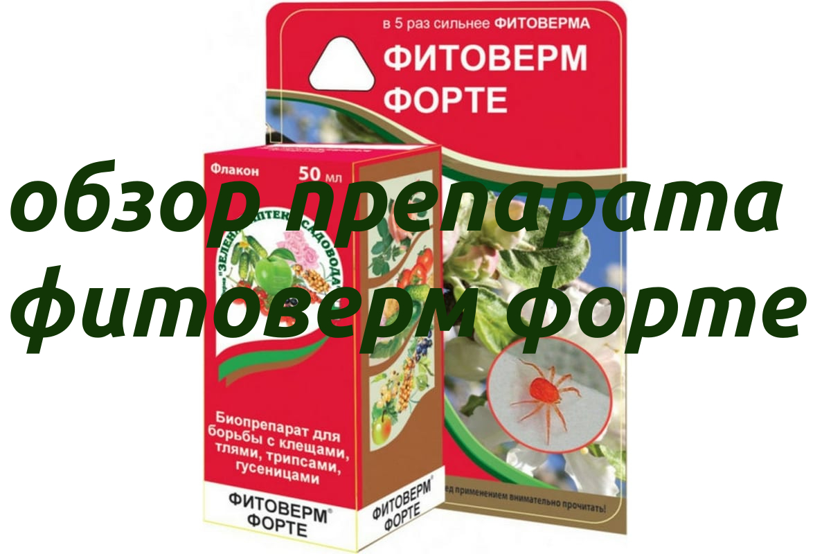 Биопрепарат фитоверм форте смотреть онлайн