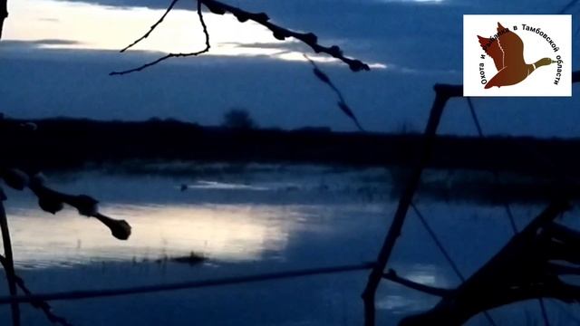 трофей-чирок трескунок смотреть онлайн