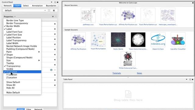 Hidden Properties in Cytoscape смотреть онлайн
