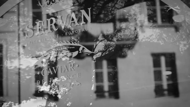 BRAX Collection Autumn/Winter 2016/2017 смотреть онлайн