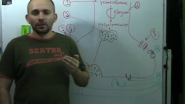 Основы психофармокологии 5 - принцип действия лекарств смотреть онлайн