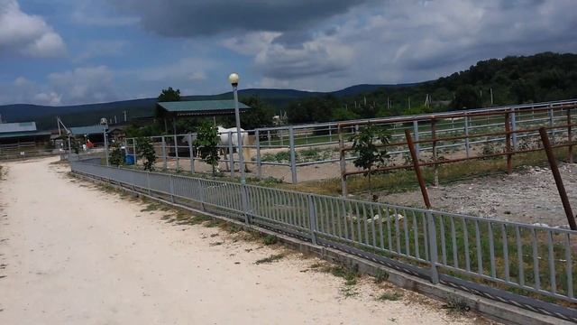 Парк живой природы До До в ст Натухаевской г. Новороссийск смотреть онлайн