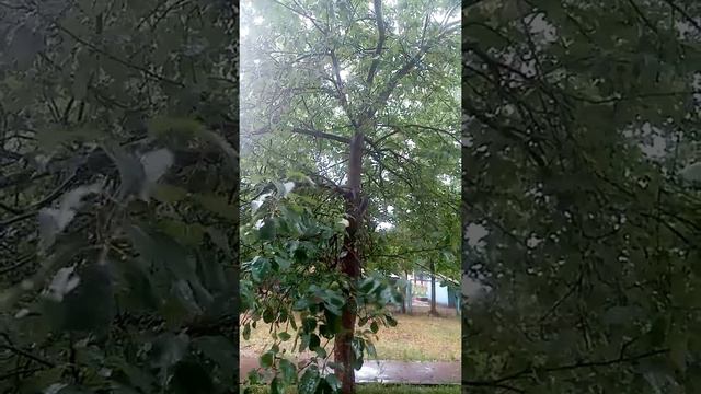Дожди и град летом смотреть онлайн
