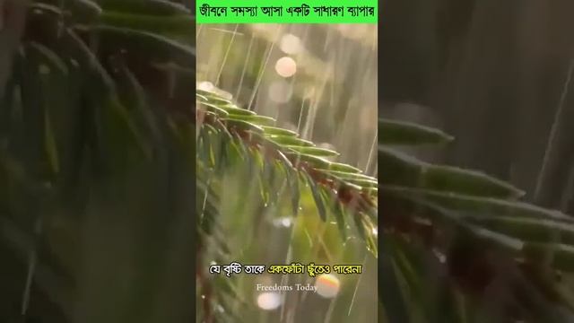 জীবনে সমস্যা একটি সাধারণ ব্যাপার।।#networkmarketing #mlm #motivation #mlmbusiness смотреть онлайн
