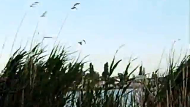 Рыбалка в Николаеве, Намыв, 21.05.2015 смотреть онлайн