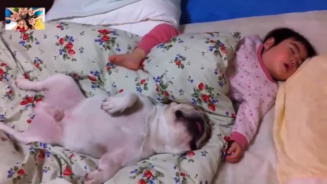 Домашние животные и дети спят вместе
