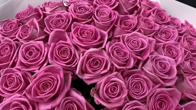 101 Роза Aqua 60 см смотреть онлайн