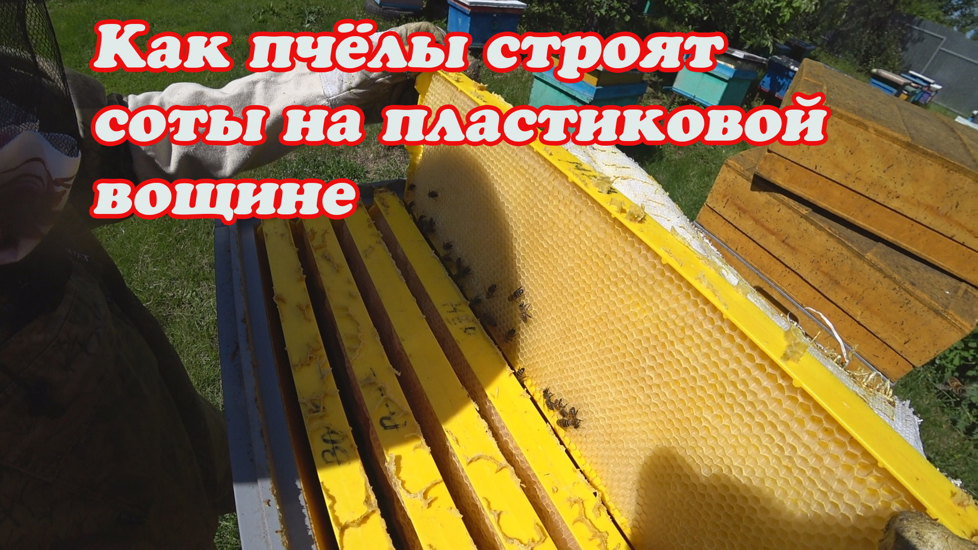 ПОЛУЧИЛИ НОВИНКУ ПЛАСТИКОВЫХ РАМОК ОТ БИНЕНХАУСА, БЕРИ И СРАЗУ СТАВЬ В УЛЕЙ. смотреть онлайн