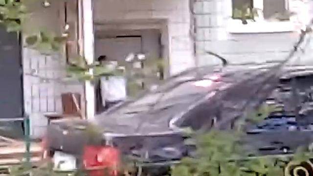 бедные цветы у подьезда обосал тоджик