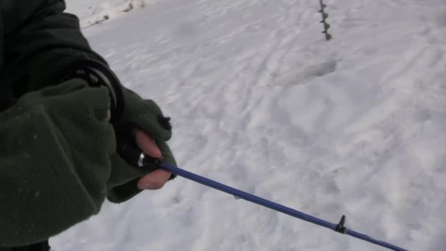 Катушка Нельма рулит Форель Калифорния золотая ФишТайм рыбалка смотреть онлайн